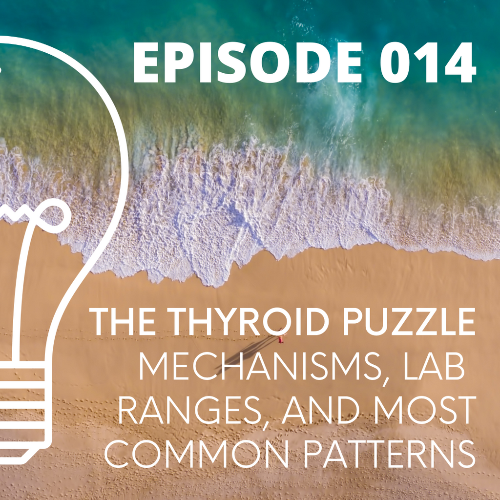 014 - The Thyroid Puzzle - Mechanisms, Lab Ranges, and Most Common Patterns