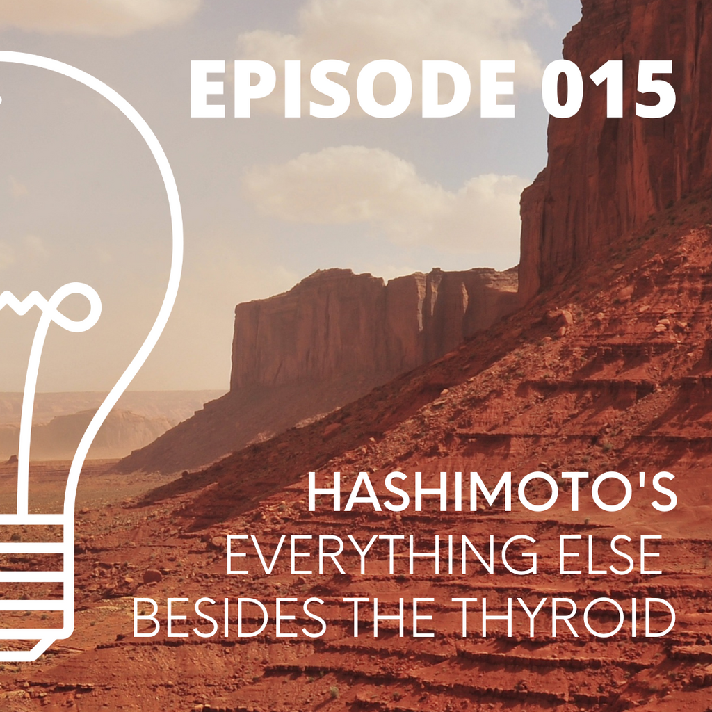 015 - Hashimoto's - Everything Else BESIDES the Thyroid