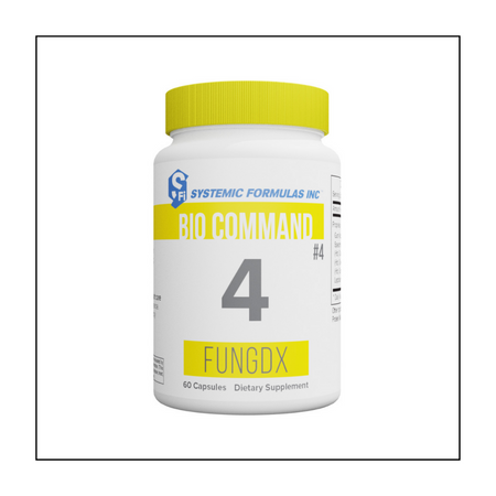 Systemic Formulas– Autoimmune Doc Podcast